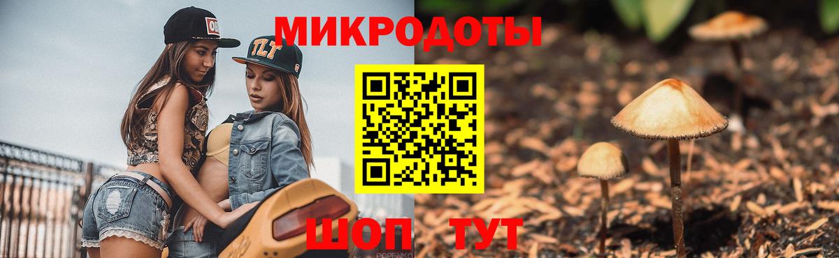 Ахтубинск  Галлюциногенные грибы ЛСД  Вход с VPN 